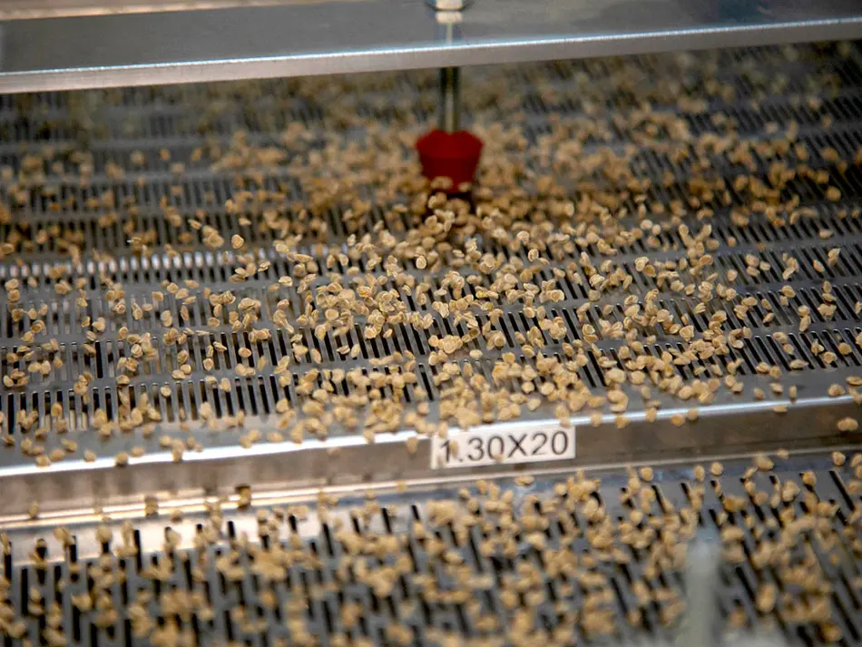 PETKUS Selecta Technologien zur Feinsaaten-Aufbereitung