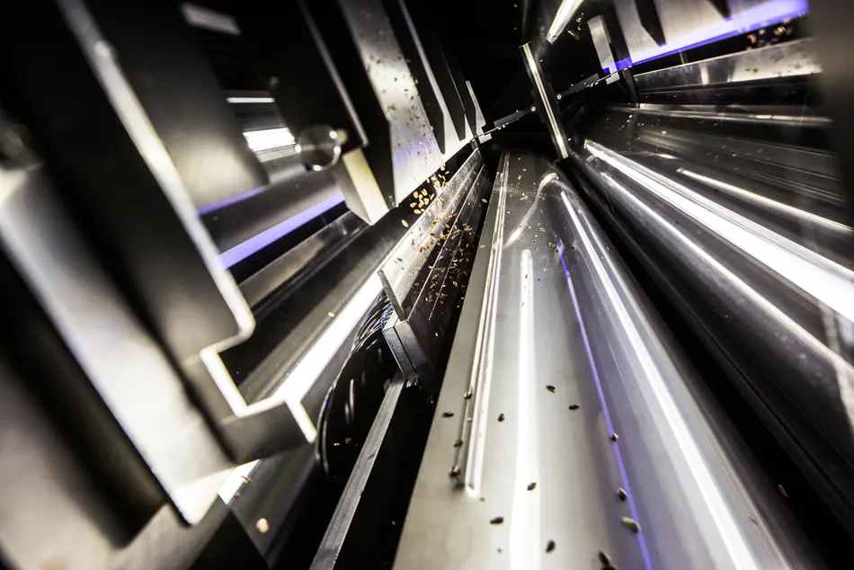 PETKUS Optische Farbsortierer